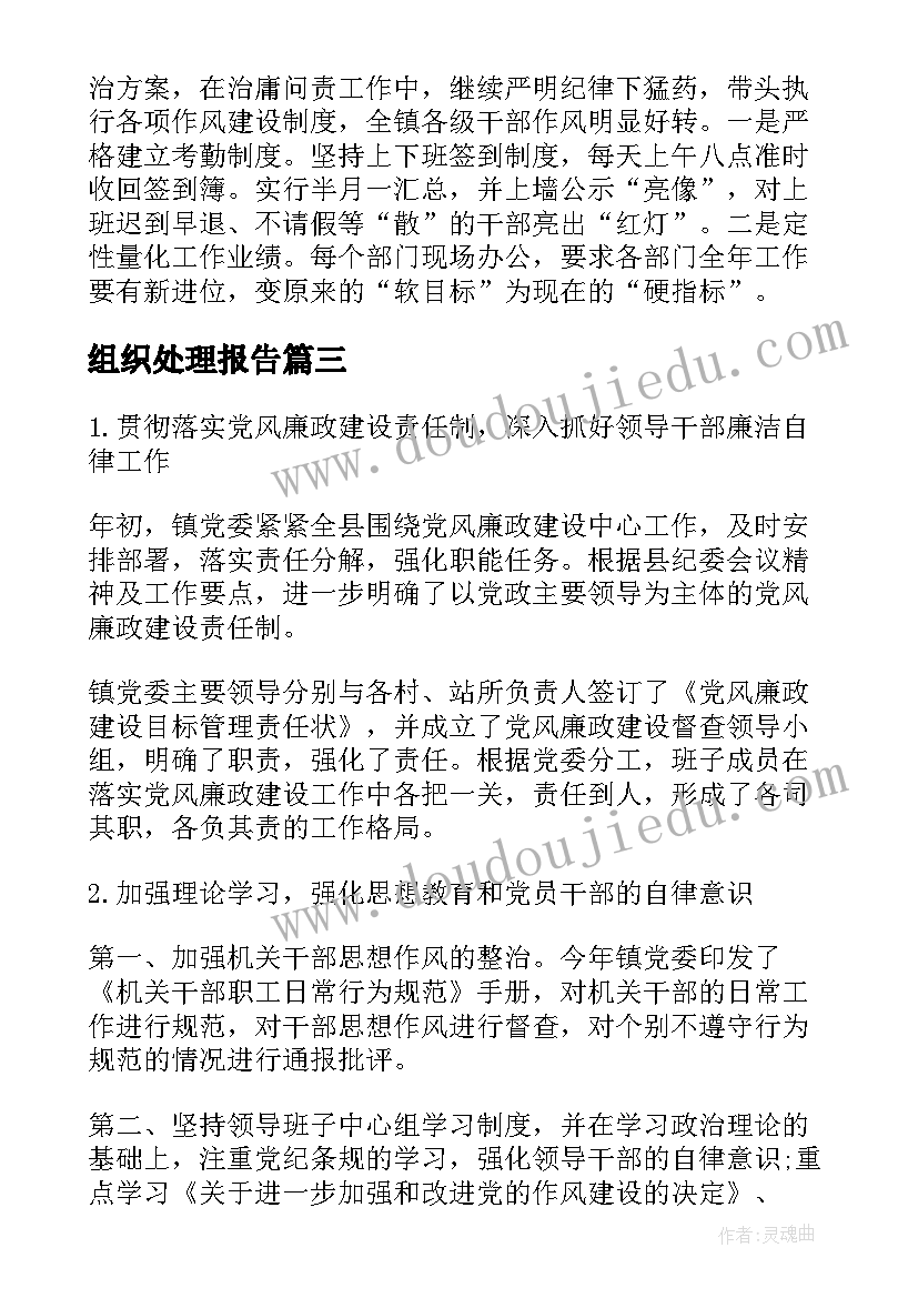 2023年组织处理报告(优秀5篇)