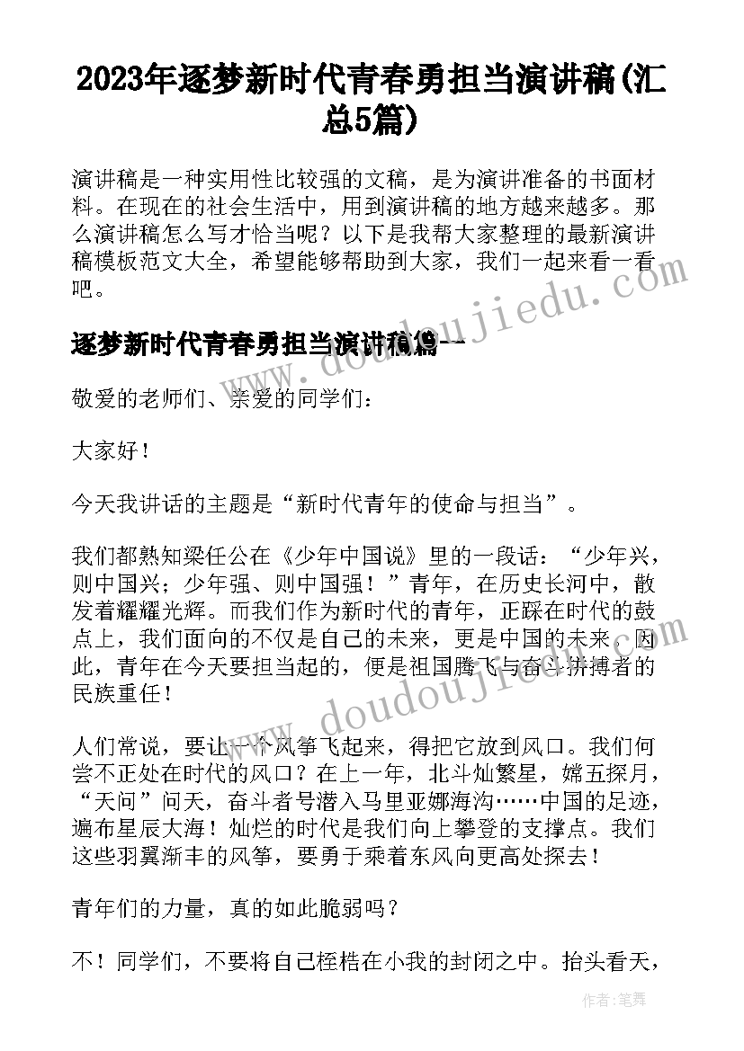 2023年逐梦新时代青春勇担当演讲稿(汇总5篇)