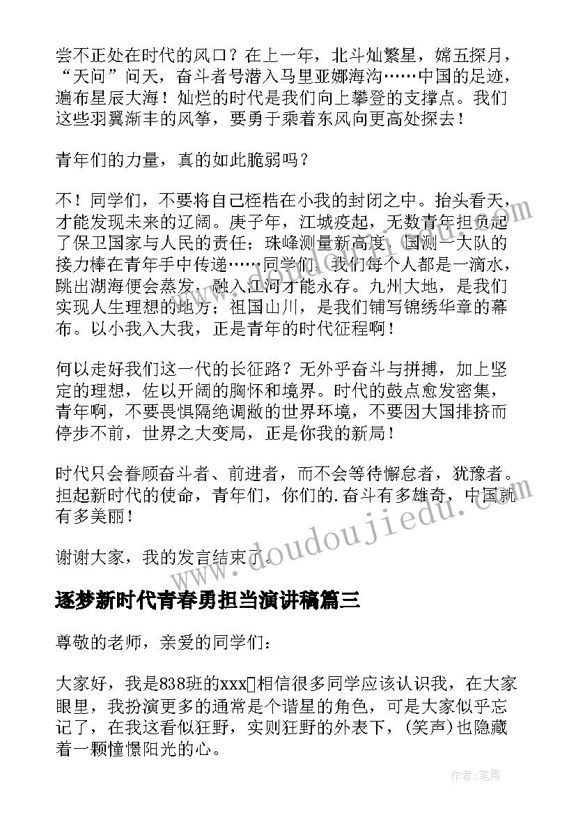 2023年逐梦新时代青春勇担当演讲稿(汇总5篇)