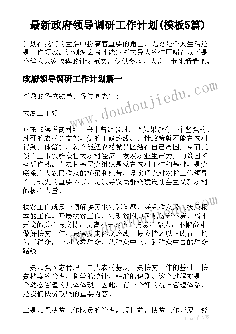 最新政府领导调研工作计划(模板5篇)