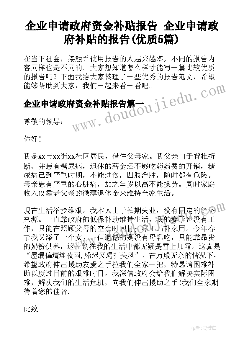 企业申请政府资金补贴报告 企业申请政府补贴的报告(优质5篇)