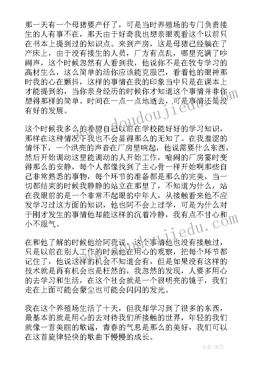 养殖的社会实践报告(通用5篇)