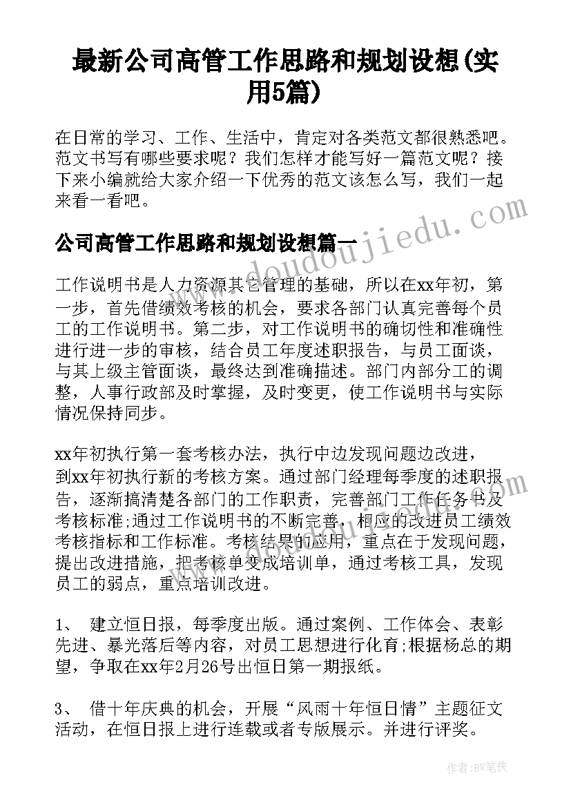 最新公司高管工作思路和规划设想(实用5篇)