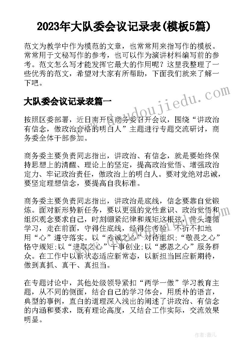 2023年大队委会议记录表(模板5篇)