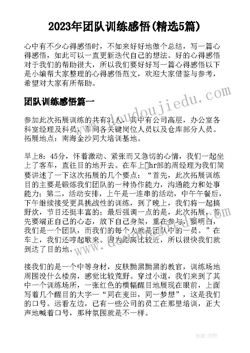 2023年团队训练感悟(精选5篇)