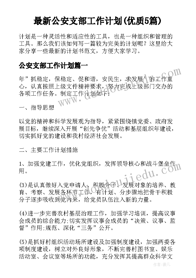 最新公安支部工作计划(优质5篇)