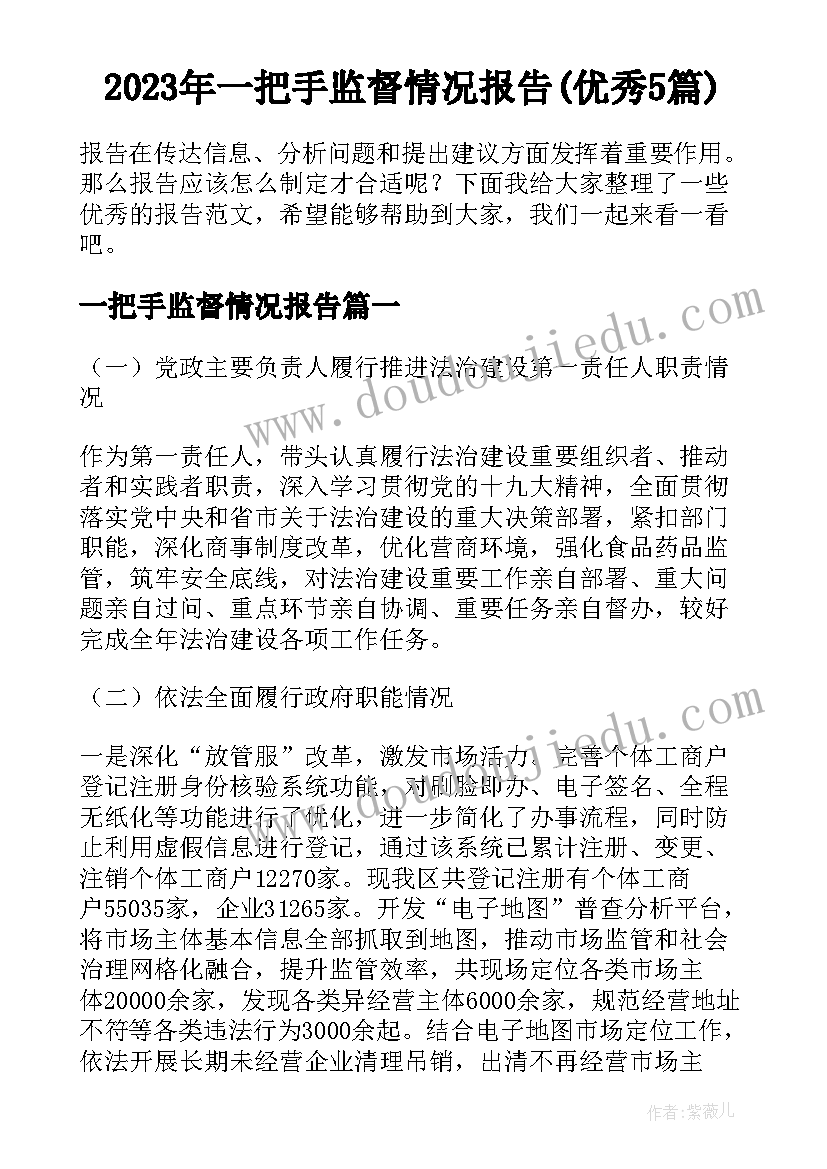 2023年一把手监督情况报告(优秀5篇)