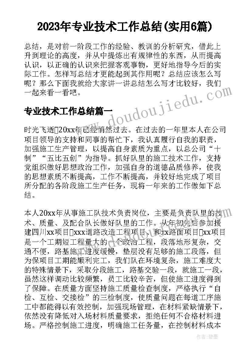 2023年专业技术工作总结(实用6篇)