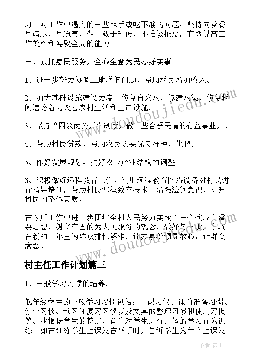 2023年村主任工作计划 村主任总结和计划汇报(汇总10篇)