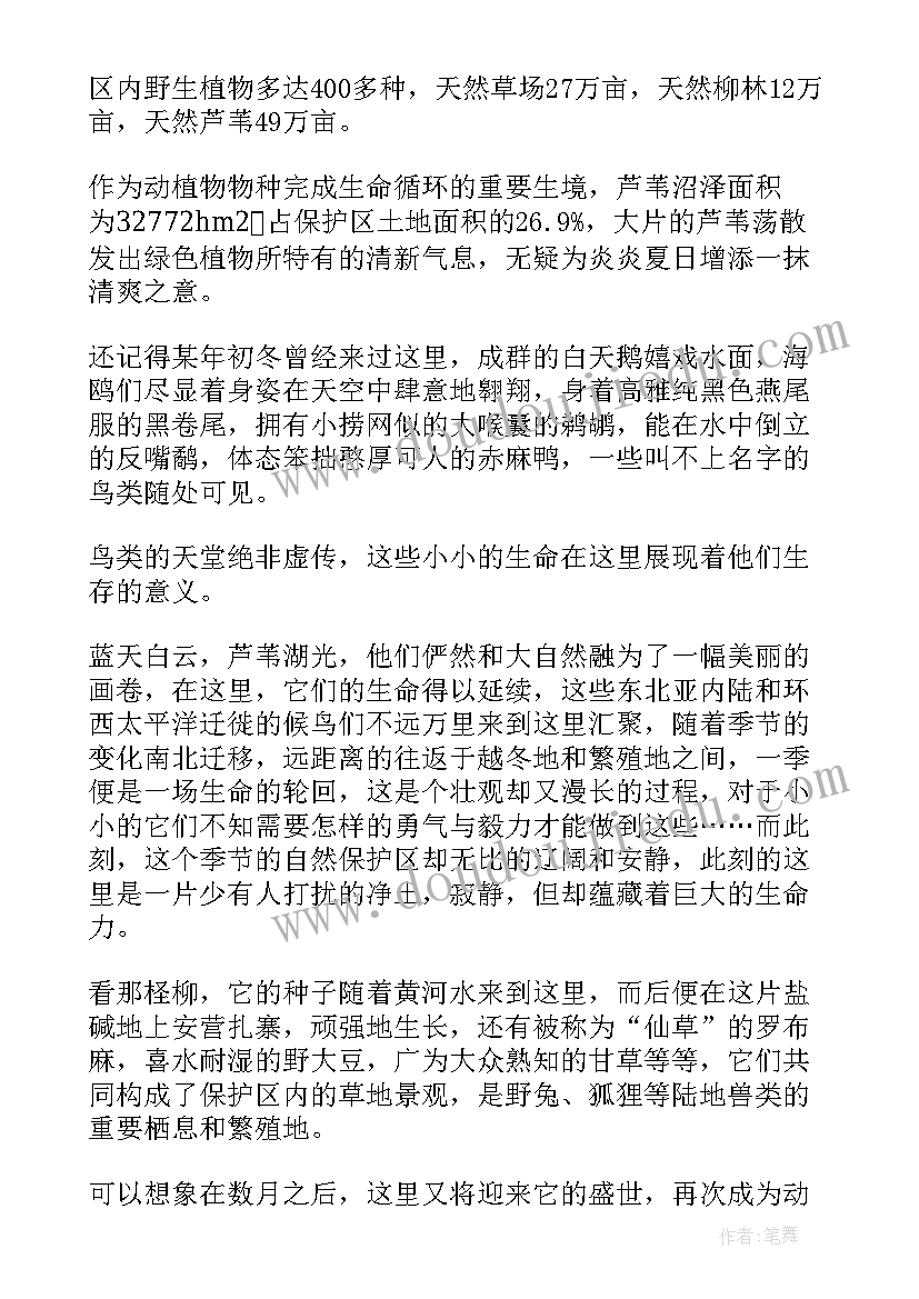 资料员社会实践总结报告(优秀6篇)