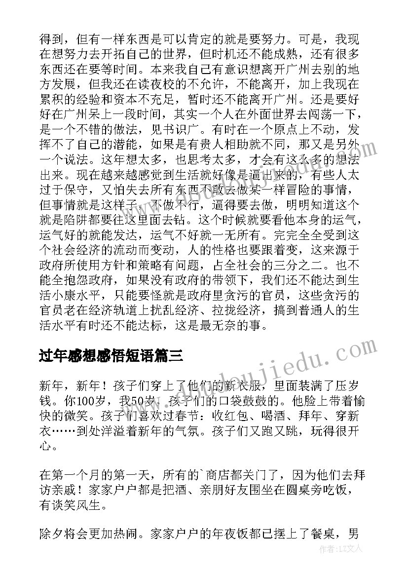 过年感想感悟短语(优质7篇)