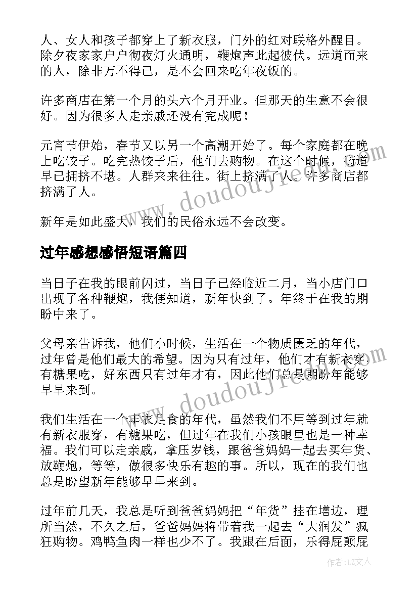 过年感想感悟短语(优质7篇)