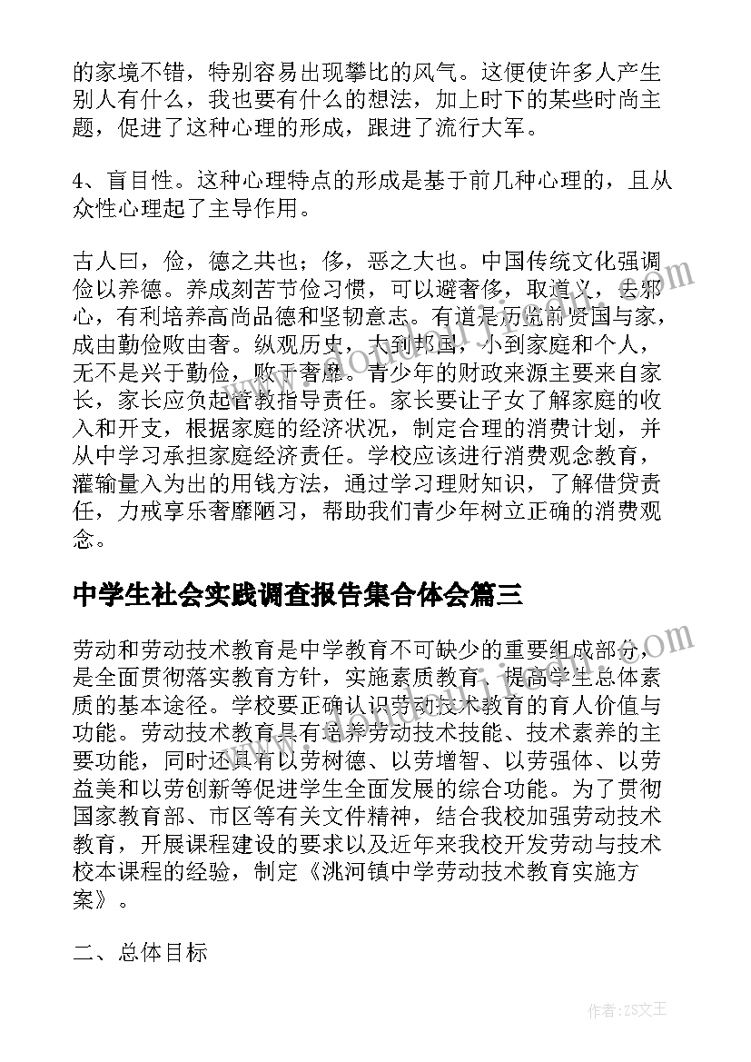 2023年中学生社会实践调查报告集合体会(模板10篇)