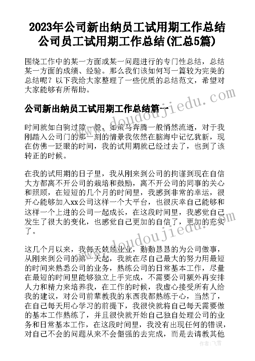 2023年公司新出纳员工试用期工作总结 公司员工试用期工作总结(汇总5篇)