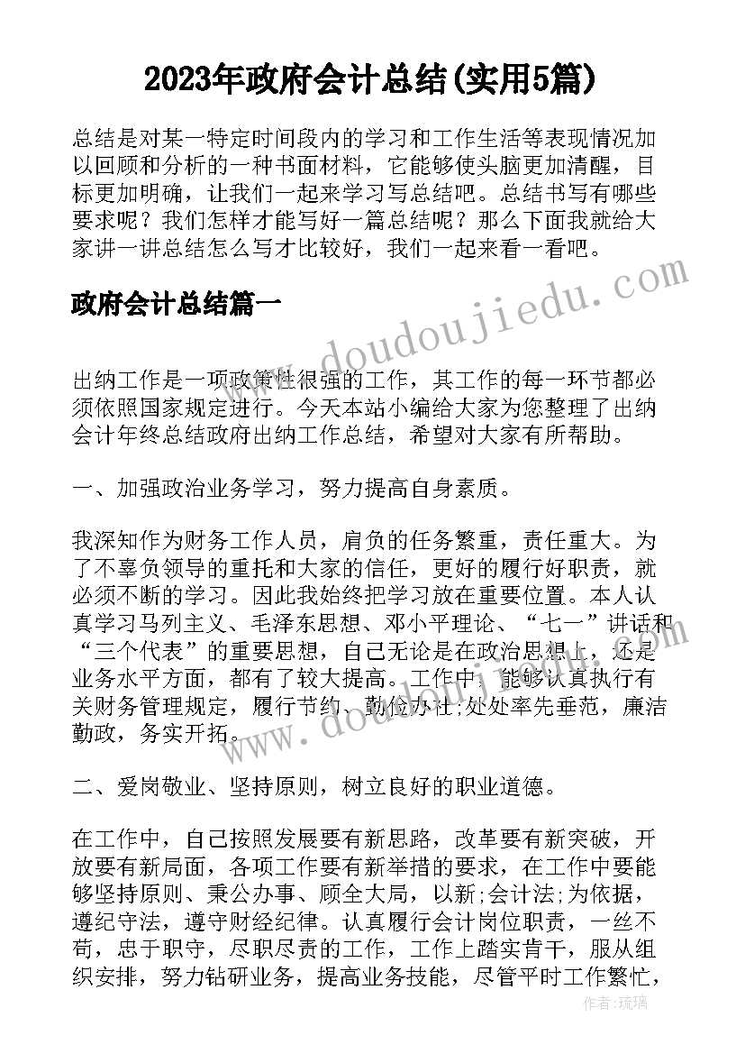 2023年政府会计总结(实用5篇)