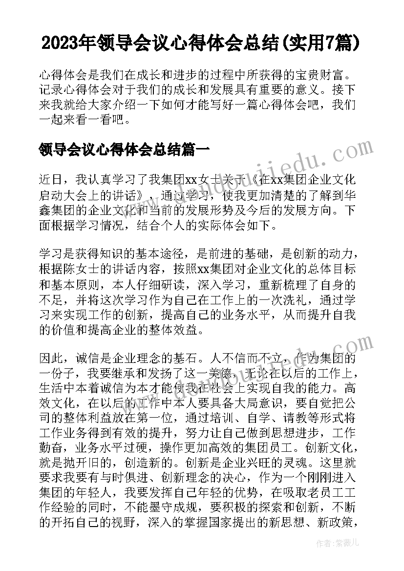 2023年领导会议心得体会总结(实用7篇)