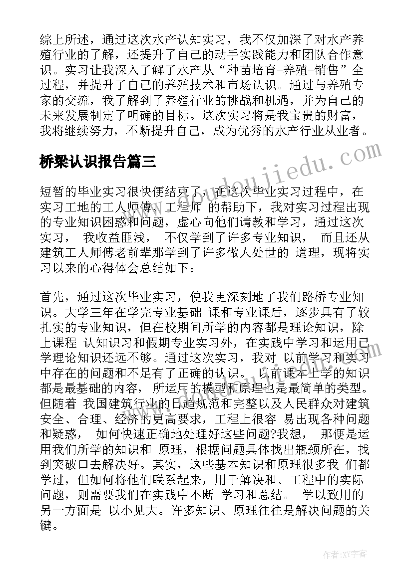 最新桥梁认识报告(模板7篇)