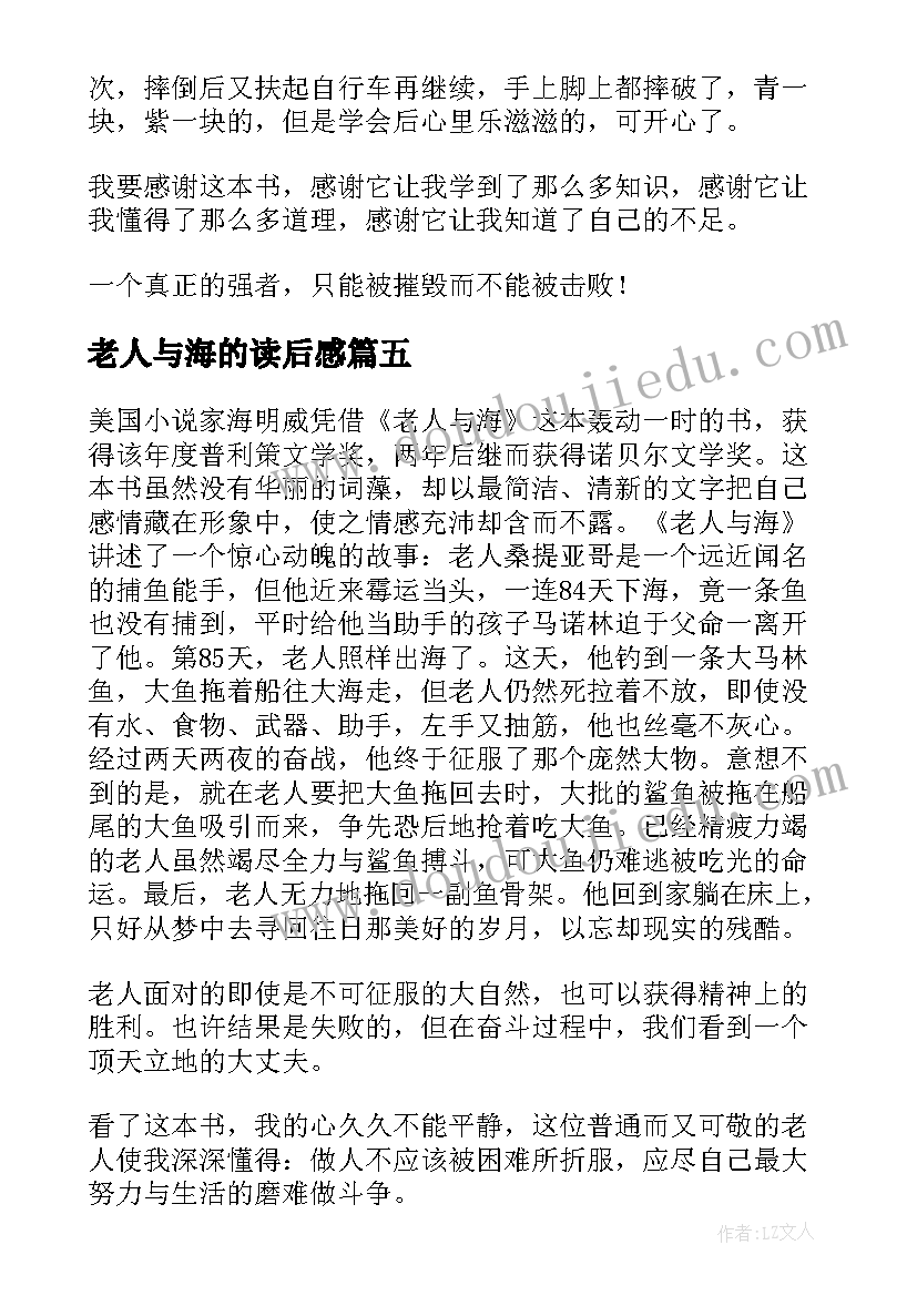 老人与海的读后感(优质5篇)