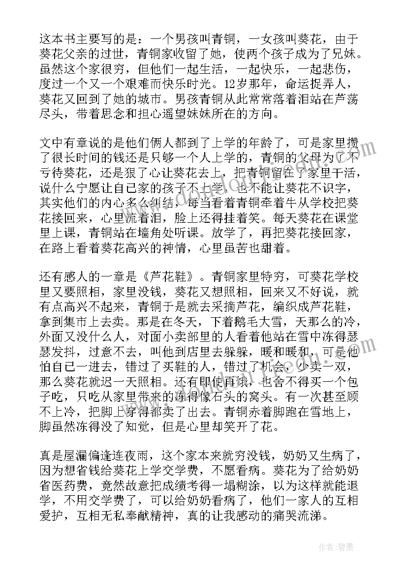 最新青铜葵花读后感受(实用5篇)