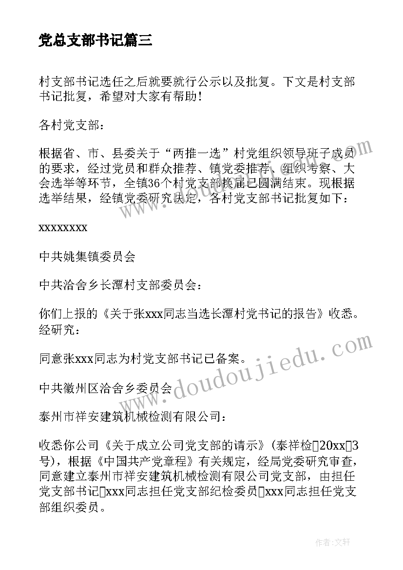 党总支部书记 团支部书记总结(优秀8篇)