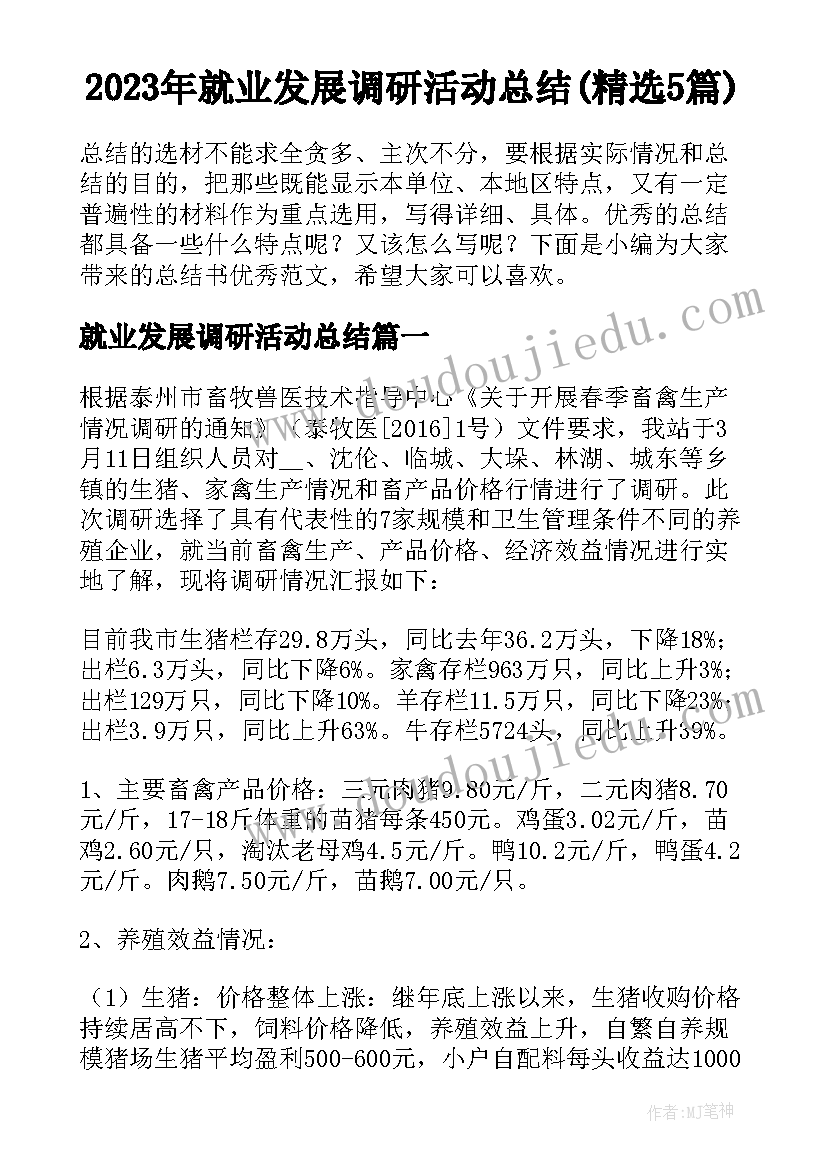 2023年就业发展调研活动总结(精选5篇)