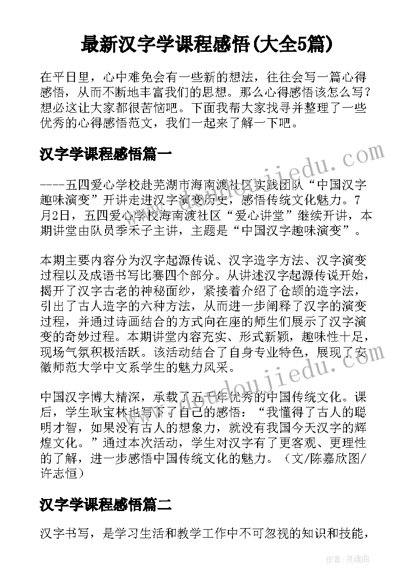 最新汉字学课程感悟(大全5篇)