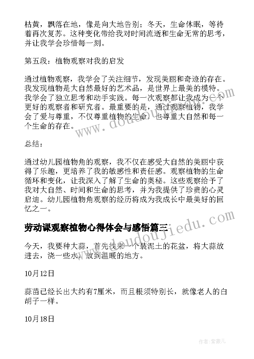 2023年劳动课观察植物心得体会与感悟 室外观察植物的心得体会(优质5篇)