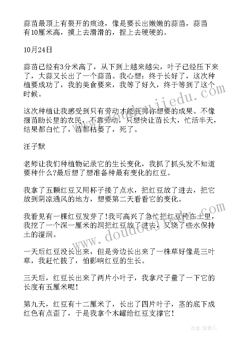 2023年劳动课观察植物心得体会与感悟 室外观察植物的心得体会(优质5篇)