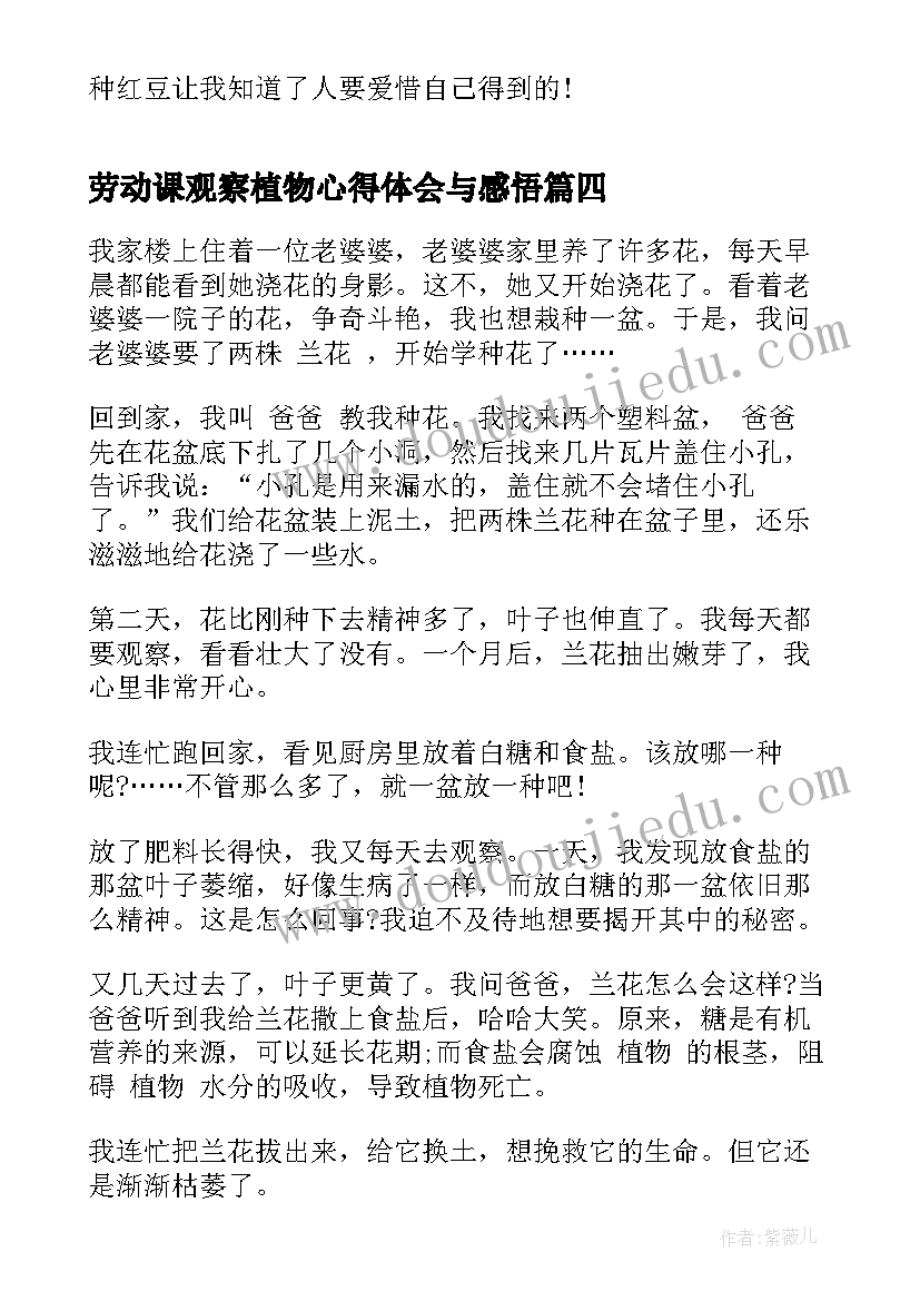 2023年劳动课观察植物心得体会与感悟 室外观察植物的心得体会(优质5篇)