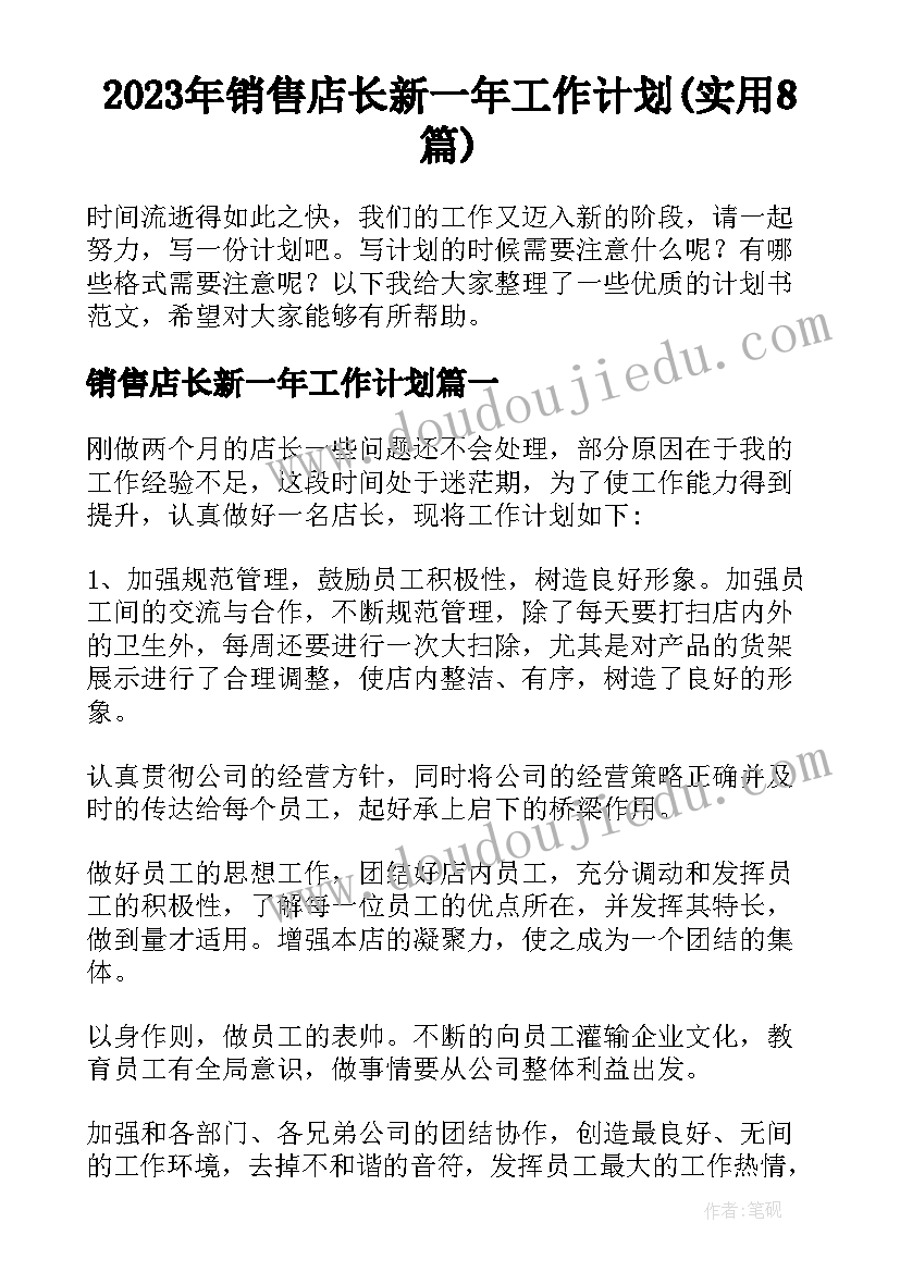 2023年销售店长新一年工作计划(实用8篇)