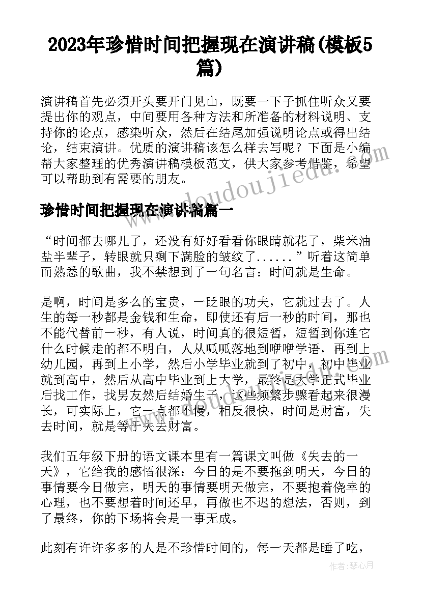 2023年珍惜时间把握现在演讲稿(模板5篇)