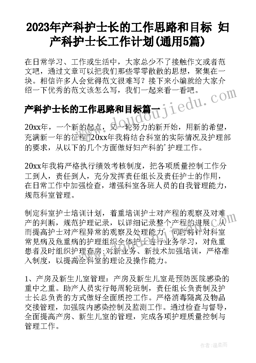 2023年产科护士长的工作思路和目标 妇产科护士长工作计划(通用5篇)