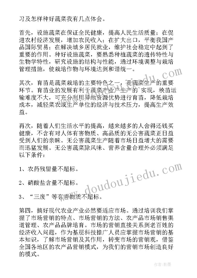 2023年蔬菜种植培训心得体会(通用5篇)