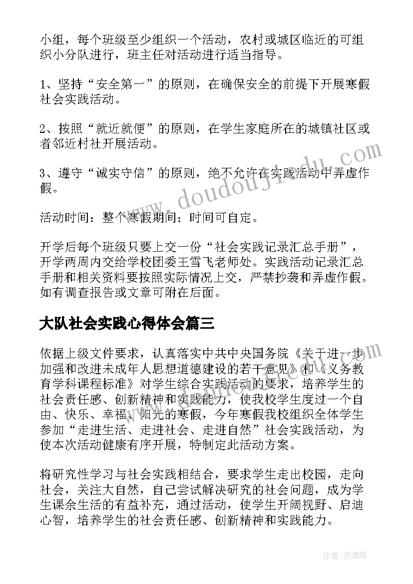 最新大队社会实践心得体会(优质7篇)