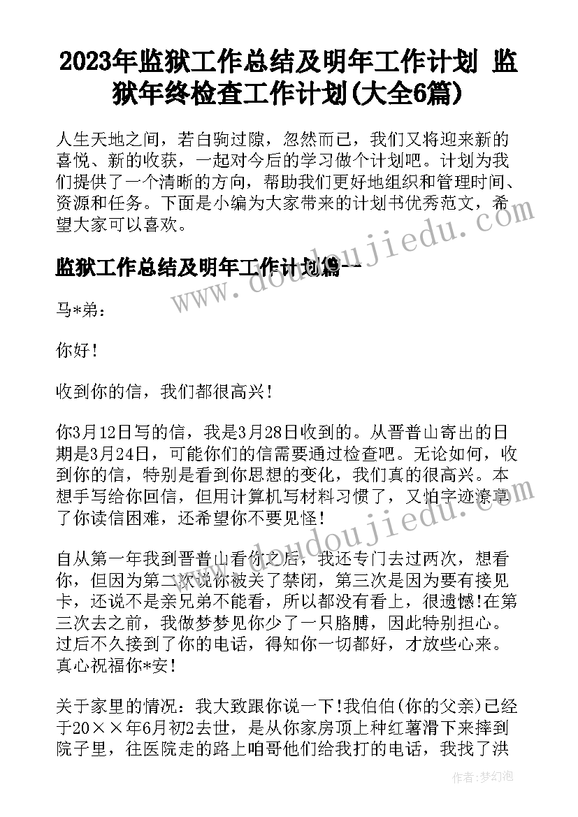 2023年监狱工作总结及明年工作计划 监狱年终检查工作计划(大全6篇)