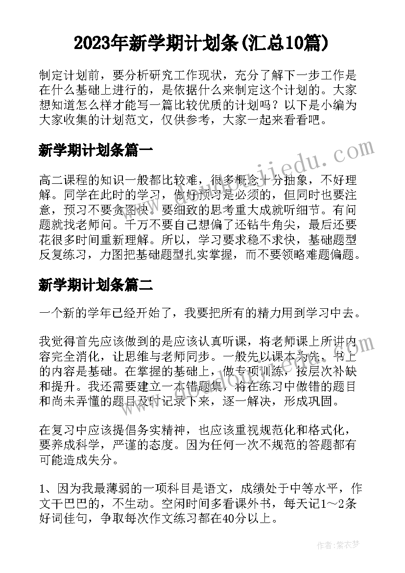 2023年新学期计划条(汇总10篇)