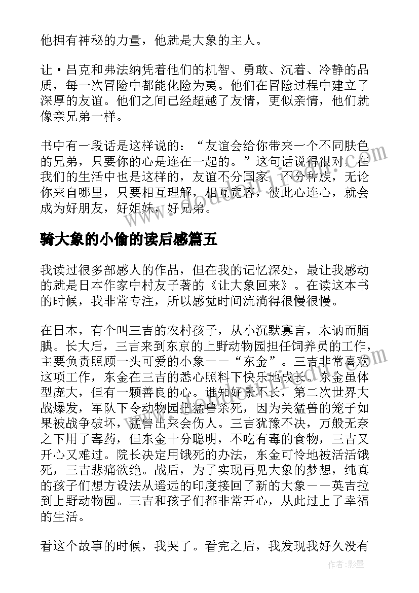 骑大象的小偷的读后感 大象的主人读后感(精选9篇)