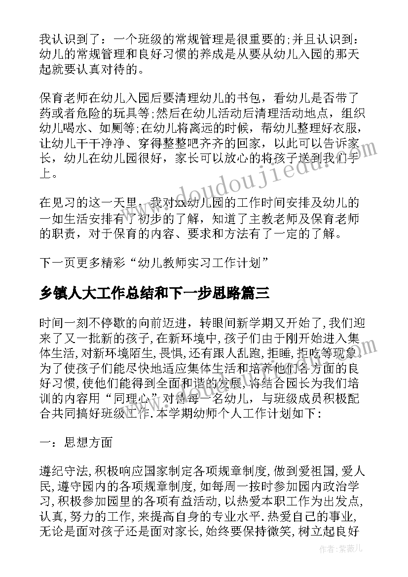 乡镇人大工作总结和下一步思路(实用5篇)