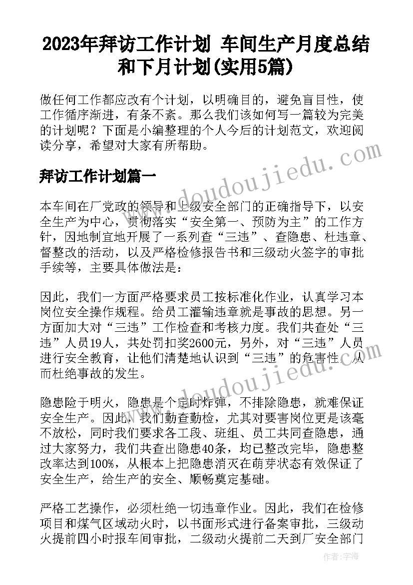 2023年拜访工作计划 车间生产月度总结和下月计划(实用5篇)