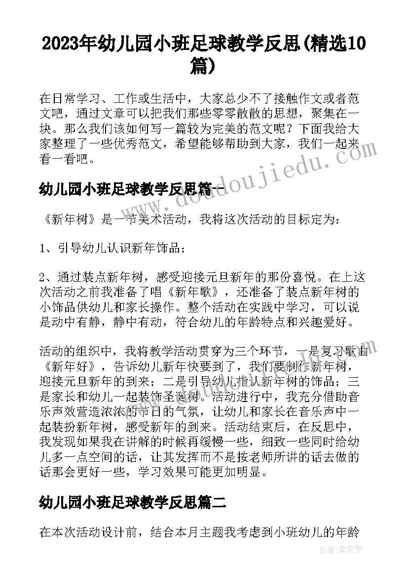 2023年幼儿园小班足球教学反思(精选10篇)