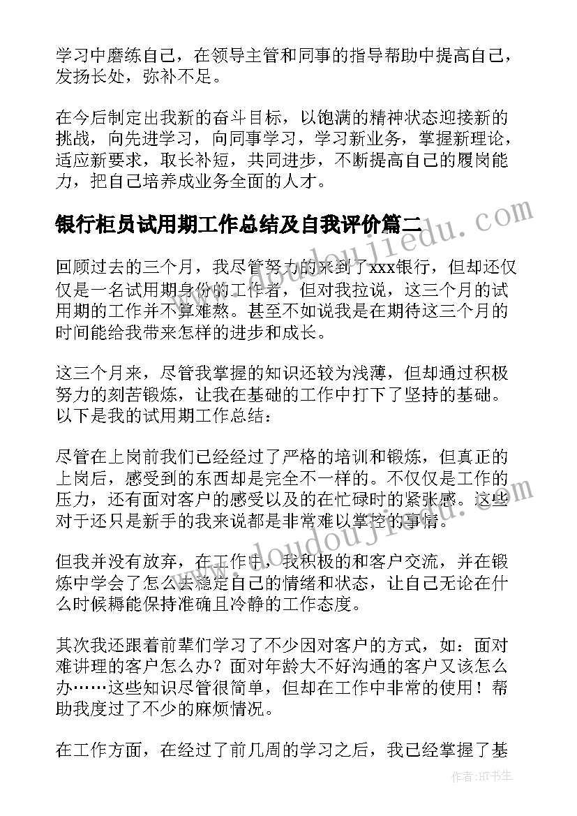 最新银行柜员试用期工作总结及自我评价(模板5篇)