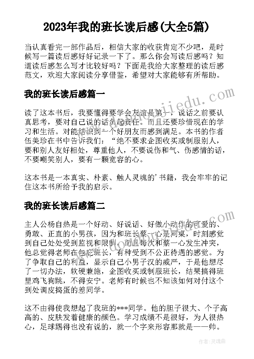 2023年我的班长读后感(大全5篇)