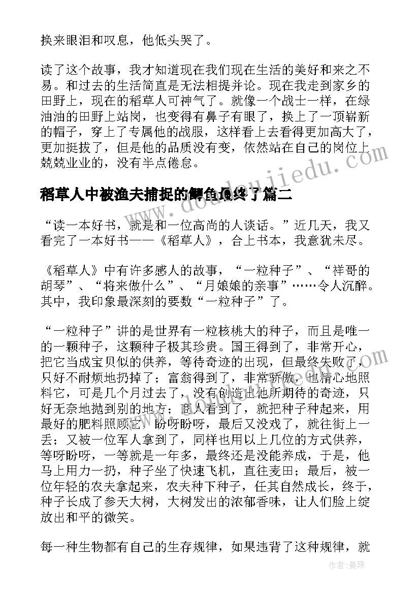 稻草人中被渔夫捕捉的鲫鱼最终了 稻草人小学生寒假读后感(精选5篇)