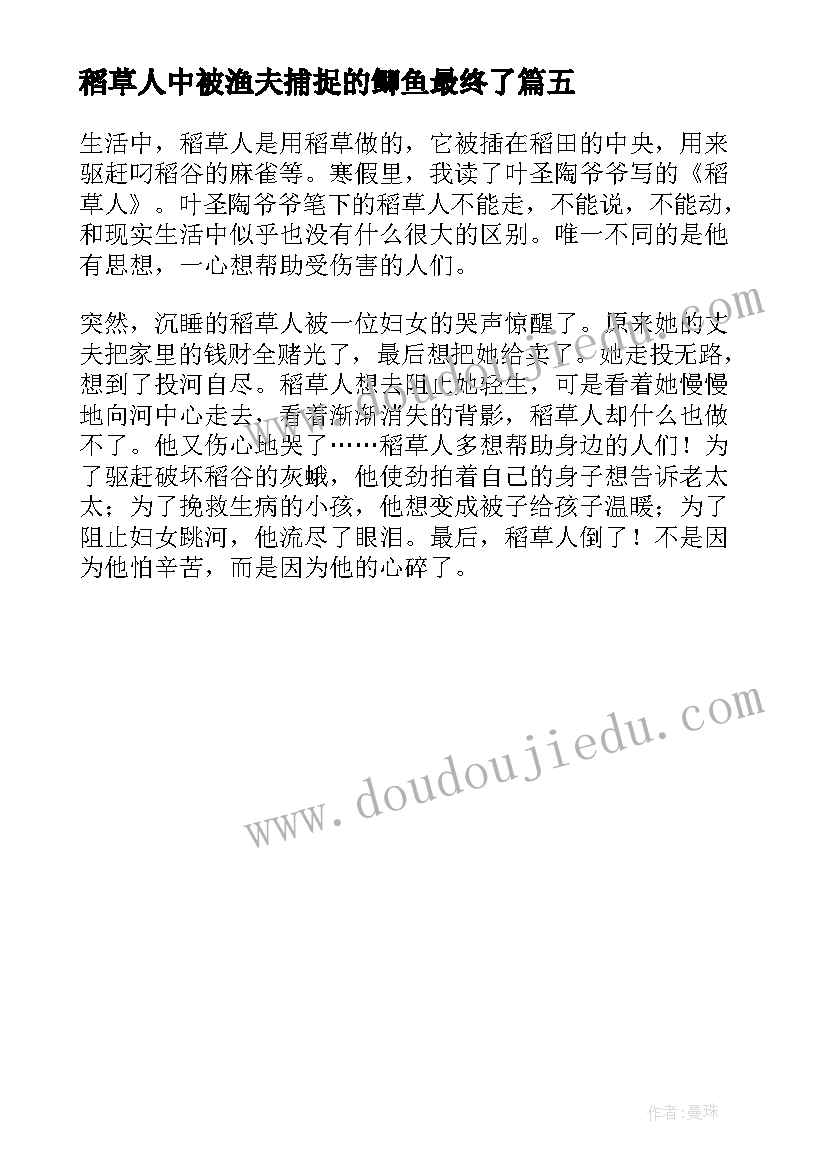 稻草人中被渔夫捕捉的鲫鱼最终了 稻草人小学生寒假读后感(精选5篇)