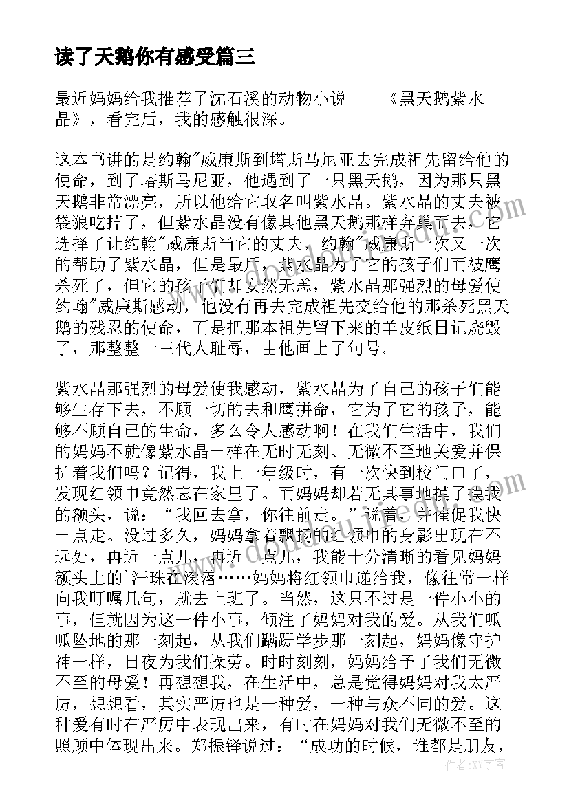 读了天鹅你有感受 野天鹅读后感(精选10篇)