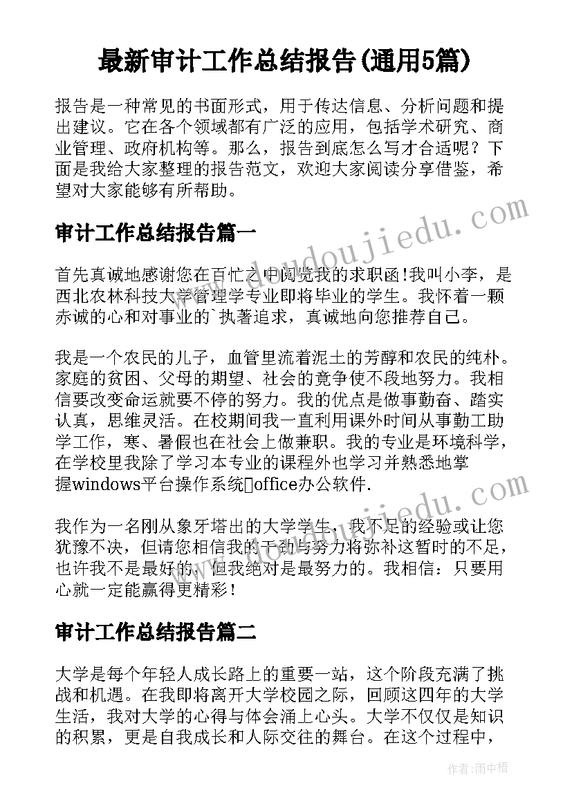 最新审计工作总结报告(通用5篇)