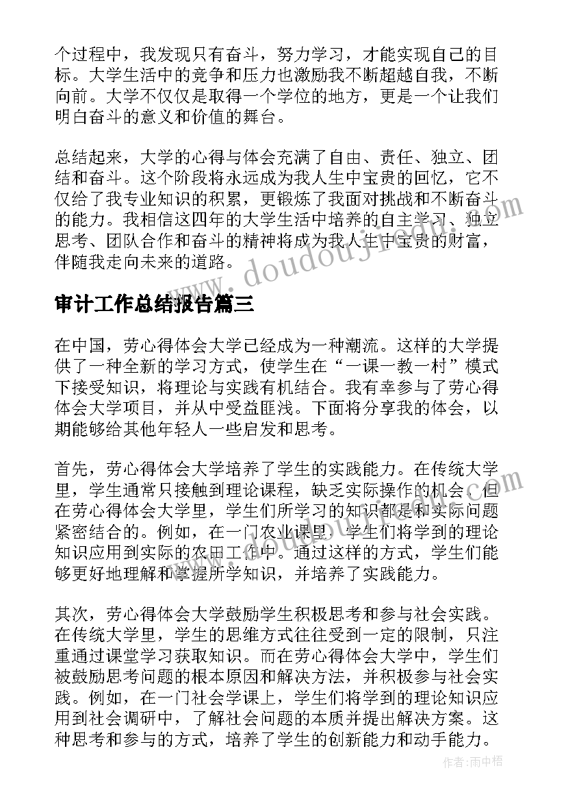 最新审计工作总结报告(通用5篇)