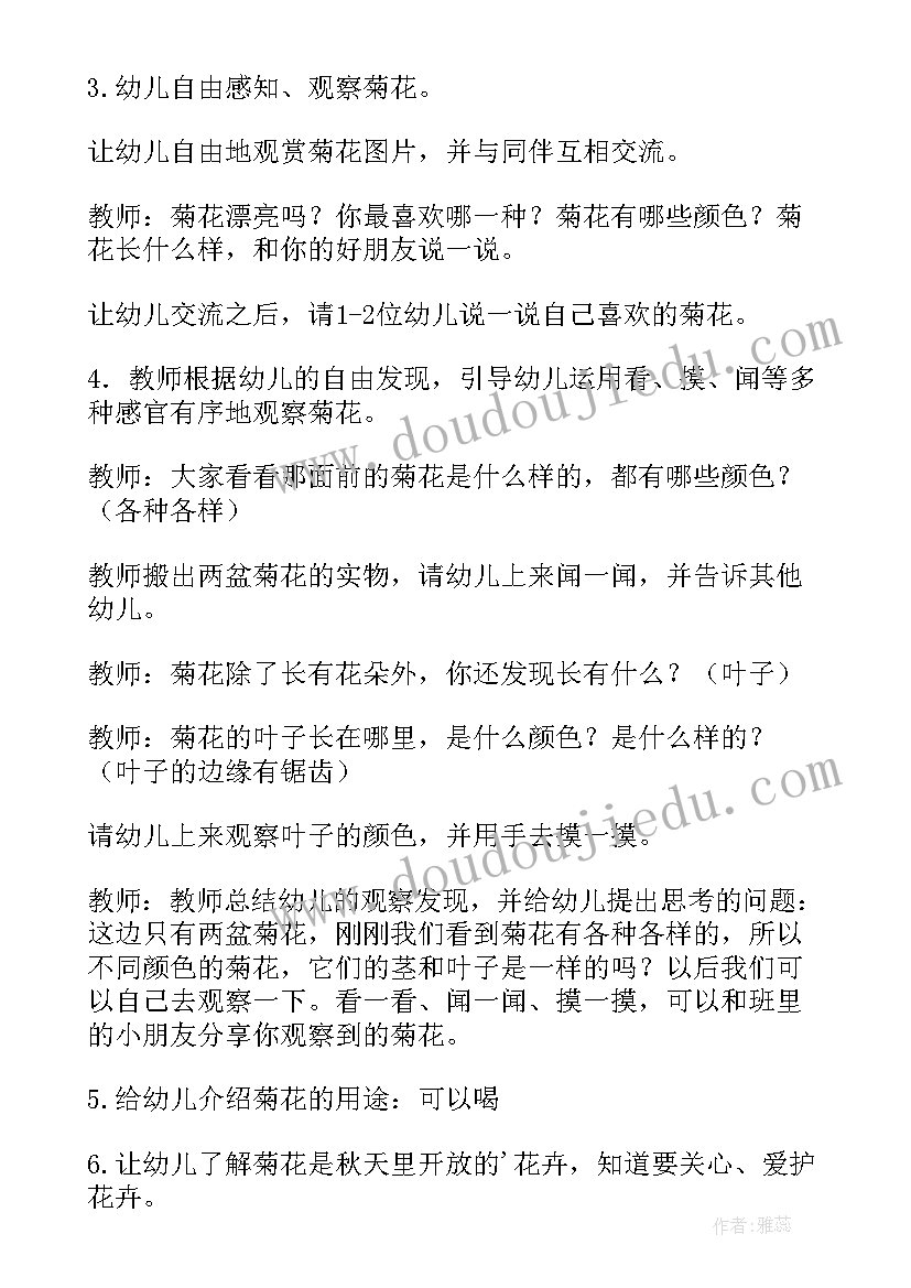 最新找小猫教案活动反思(精选8篇)