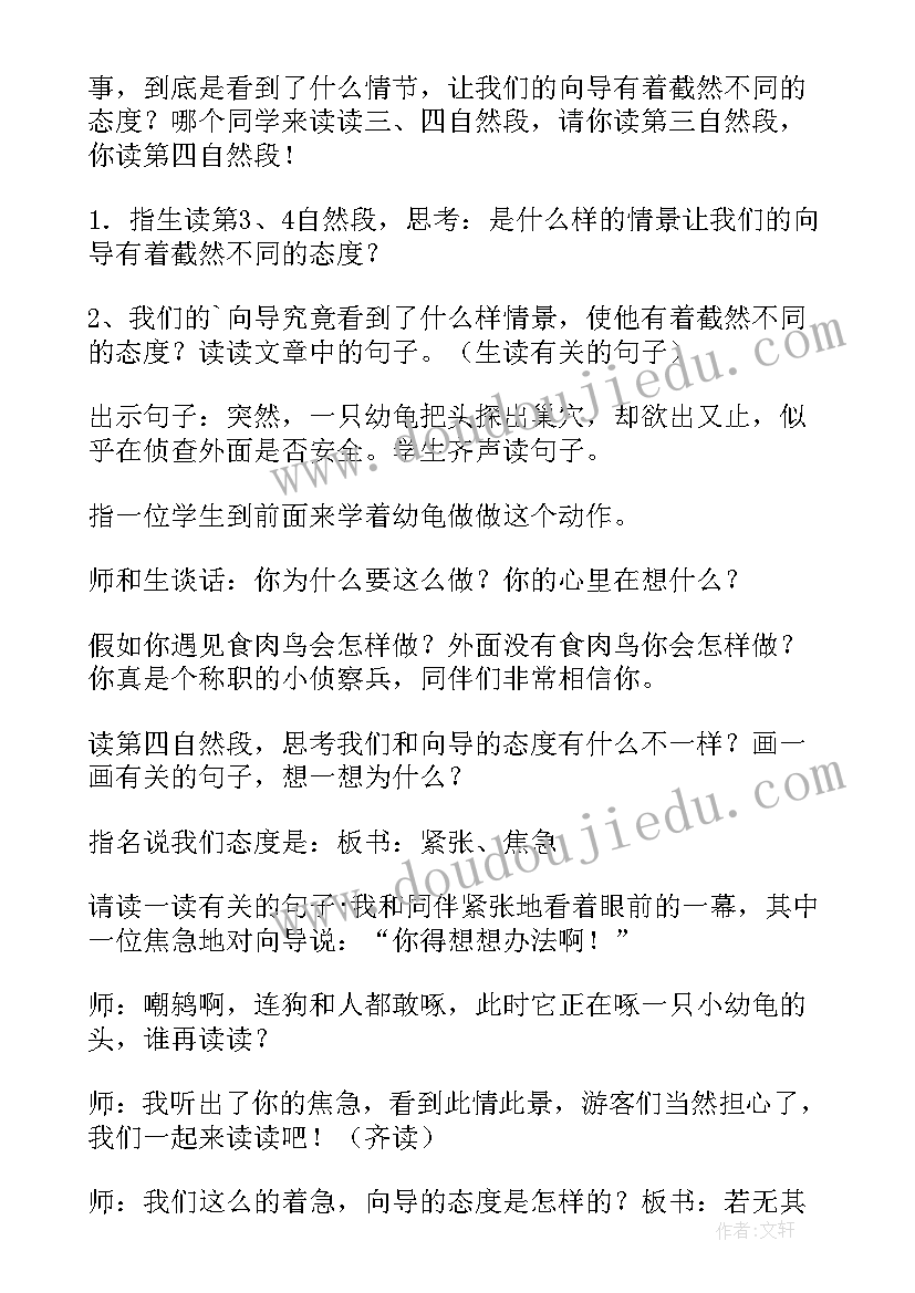 2023年自然之道试讲教案(模板7篇)