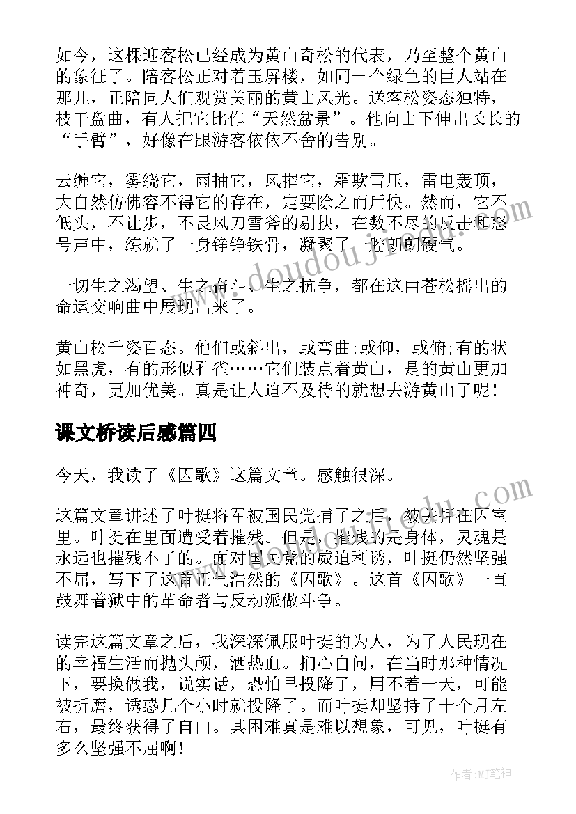 2023年课文桥读后感(精选6篇)